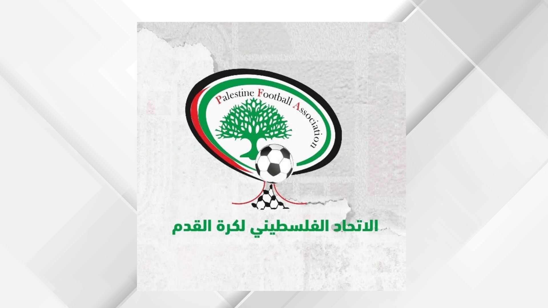 إشادة فلسطينية بدعم الأمير علي للرياضة