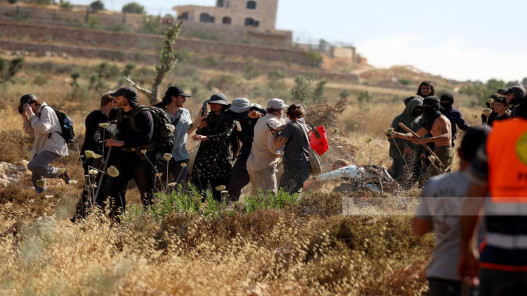 صورة حول : مستوطنون يخرّبون بيوتًا بلاستيكية زراعية في بلدة بورين جنوب نابلس مستوطنون يخرّبون بيوتًا بلاستيكية زراعية في بلدة بورين جنوب نابلس