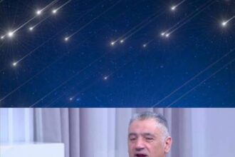 مجاهد لـ"صراحة نيوز": زخة شهب البرشاويات تبلغ ذروتها في 12 آب ولا علاقة بينها وبين الزلازل أو الكوارث