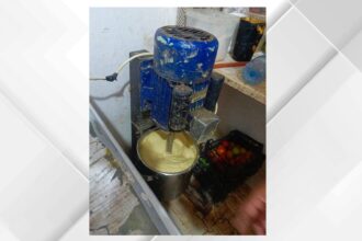 لجنة صحة الجيزة تنفذ حملة رقابية على المنشآت الغذائية