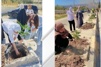 مبادرة بيئية في الحمّة الأردنية لزراعة الأشجار وتعزيز مواجهة التغير المناخي