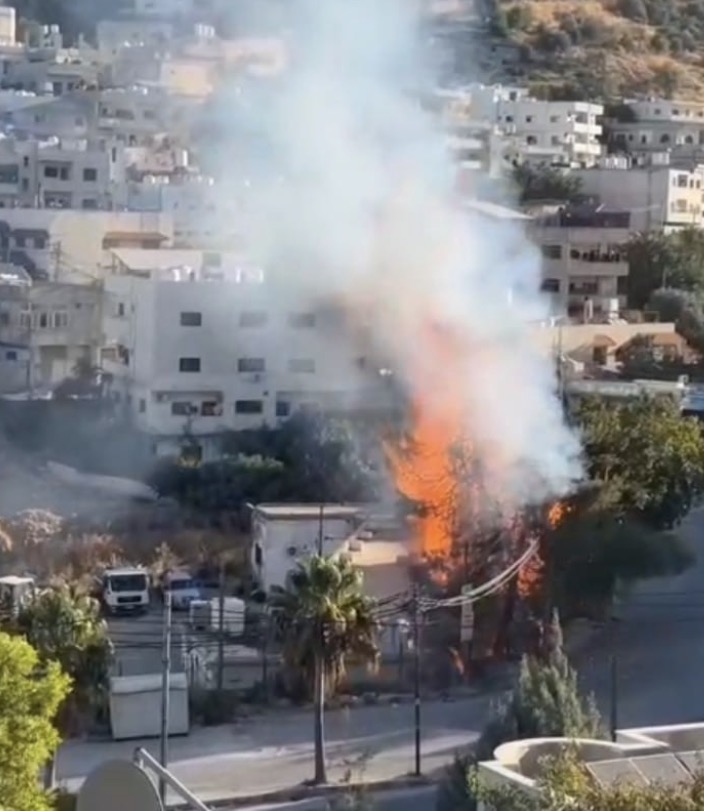 صورة حول : تماس كهربائي يشعل حريقًا بشجرتي صنوبر في عين جنا بعجلون تماس كهربائي يشعل حريقًا بشجرتي صنوبر في عين جنا بعجلون