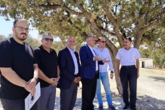 بلدية بيرين تبحث تنفيذ مشروعات سياحية وبيئية في غابات العالوك