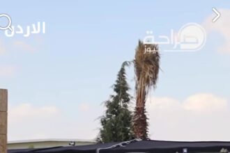 المومني يؤكد أهمية حضور محافظات المملكة في صلب المشهد الإعلامي الوطني