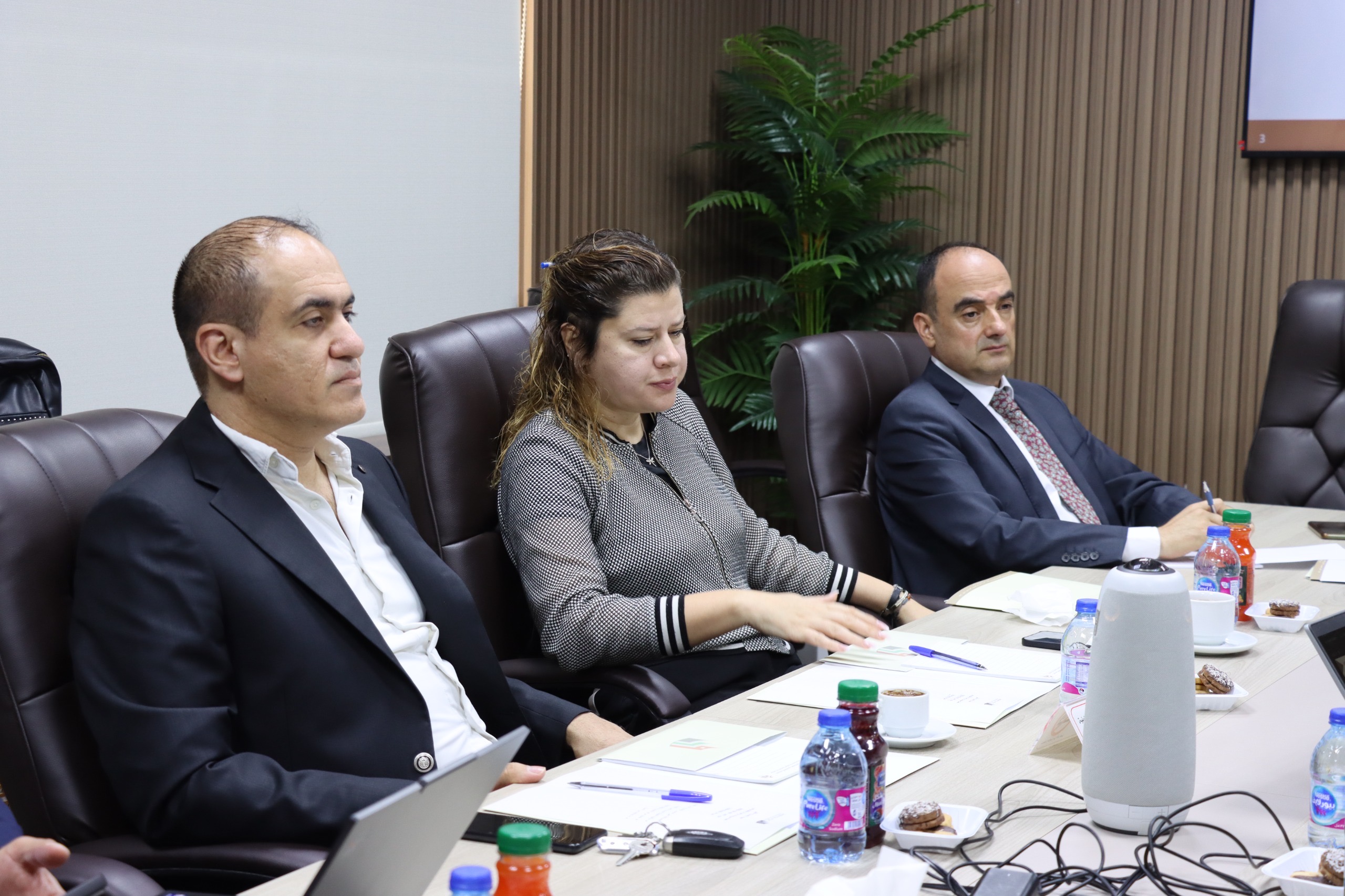 لجنة سياسات الرقمنة والتكنولوجيا في الاقتصادي والاجتماعي تستعرض خطة عملها
