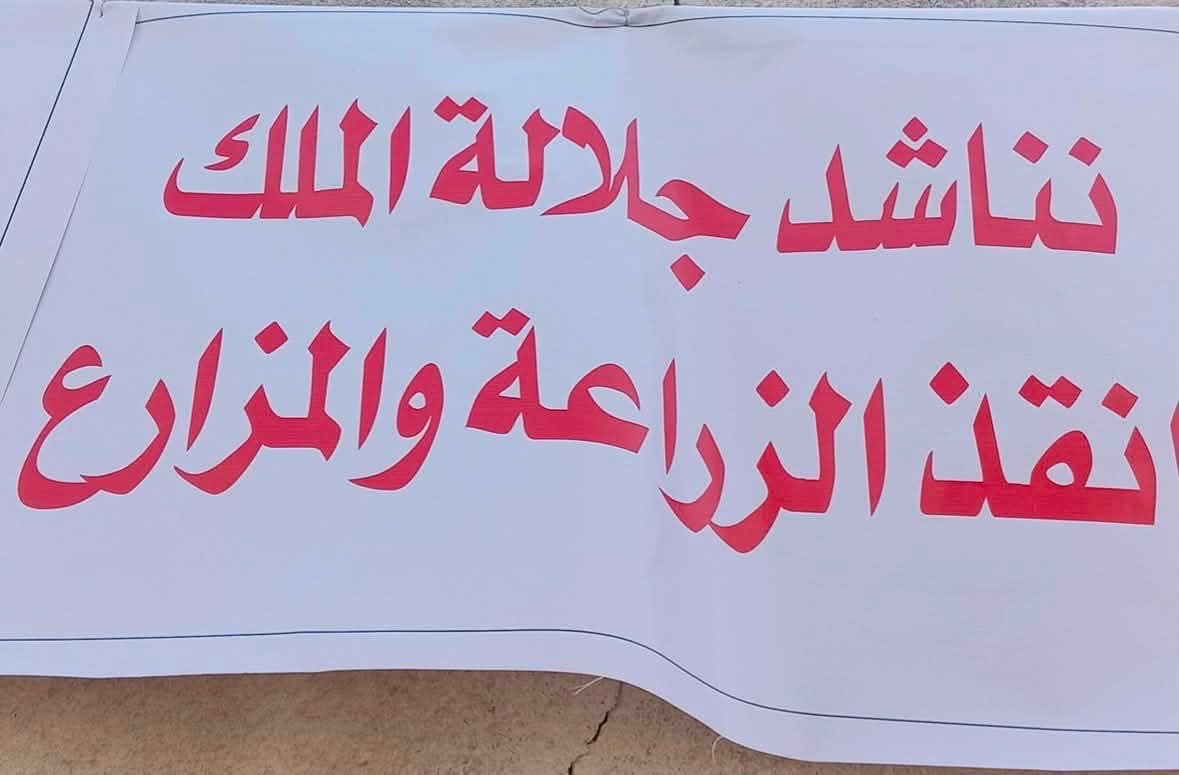 صورة حول : الغزاوي: ١٢ مليون كغم ليمون مستورد سمحت وزارة الزراعة بدخولها الاردن !!! ووقفة احتجاجية قريبا.. الغزاوي: ١٢ مليون كغم ليمون مستورد سمحت وزارة الزراعة بدخولها الاردن !!! ووقفة احتجاجية قريبا..