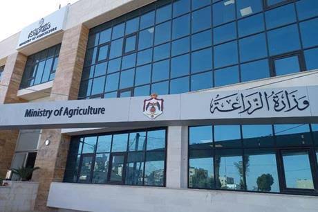 صورة حول : الزراعة ترد على ملاحظات مربي الأغنام: 5 مختبرات معتمدة و22 منشأة للتصدير.. ولا احتكار الزراعة ترد على ملاحظات مربي الأغنام: 5 مختبرات معتمدة و22 منشأة للتصدير.. ولا احتكار