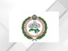 البرلمان العربي يدين الهجوم الحوثي على الرياض ويطالب مجلس الأمن بالتحرك
