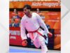 محمد الجعفري يحصد ذهبية الكاراتيه في آسياد ناغويا 2026