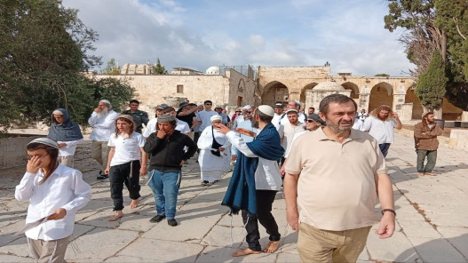 مئات المستوطنين يقتحمون الأقصى في رابع أيام «عيد العرش»
