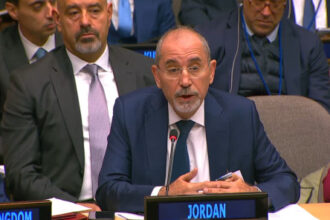 الصفدي: التحرك الفوري ضرورة لحماية حل الدولتين
