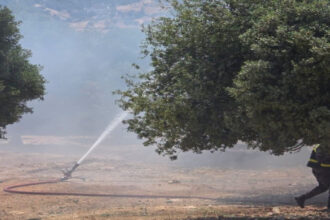 حريق يلتهم عشرات الدونمات والأشجار الحرجية بين جرش وعجلون