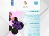 الأردن يواصل التخلص من المواد المستنفدة للأوزون.. وأكثر من 240 ألف طن انبعاثات متجنبة