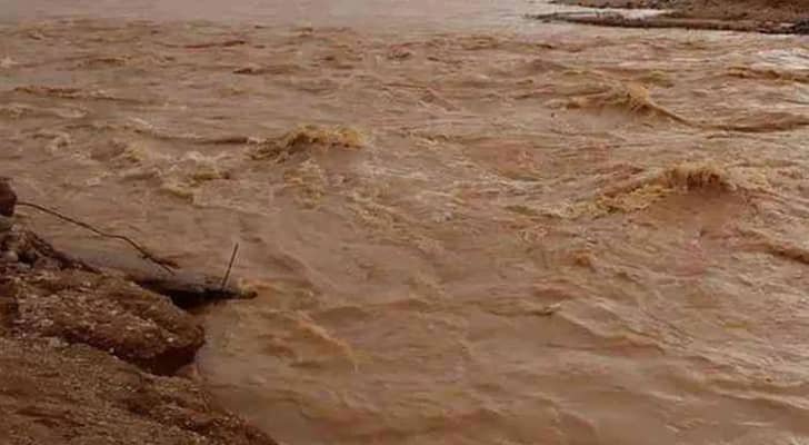 فقدان شخصين في وادي صياغة بلواء الشونة الجنوبية نتيجة السيول وعمليات البحث عنهم جارية #عاجل