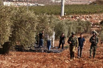 عين على القدس يناقش اعتداءات المستوطنين خلال موسم الزيتون