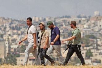 مستوطنون يقطعون 120 شجرة زيتون والاحتلال يصعّد اعتداءاته بالضفة