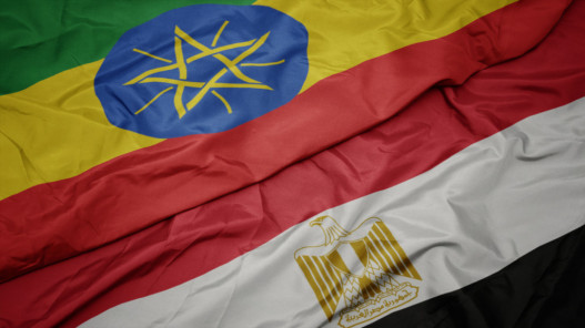مصر تعتبر مستشار السفارة الإثيوبية بالقاهرة شخصًا غير مرغوب فيه