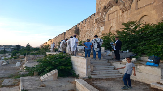 صورة حول : مستوطنون يقتحمون مقبرة باب الرحمة ويؤدون طقوسًا تلمودية مستوطنون يقتحمون مقبرة باب الرحمة ويؤدون طقوسًا تلمودية