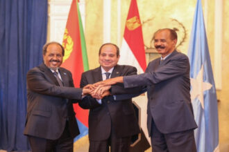 قمة رباعية تبحث قضايا إقليمية بين مصر وإريتريا والصومال والسودان