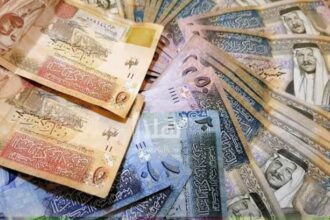 الزراعة توضح حقيقة الـ14 ألف دينار في محطة الحسين.. ماذا حدث أثناء بيع ثمار الزيتون؟